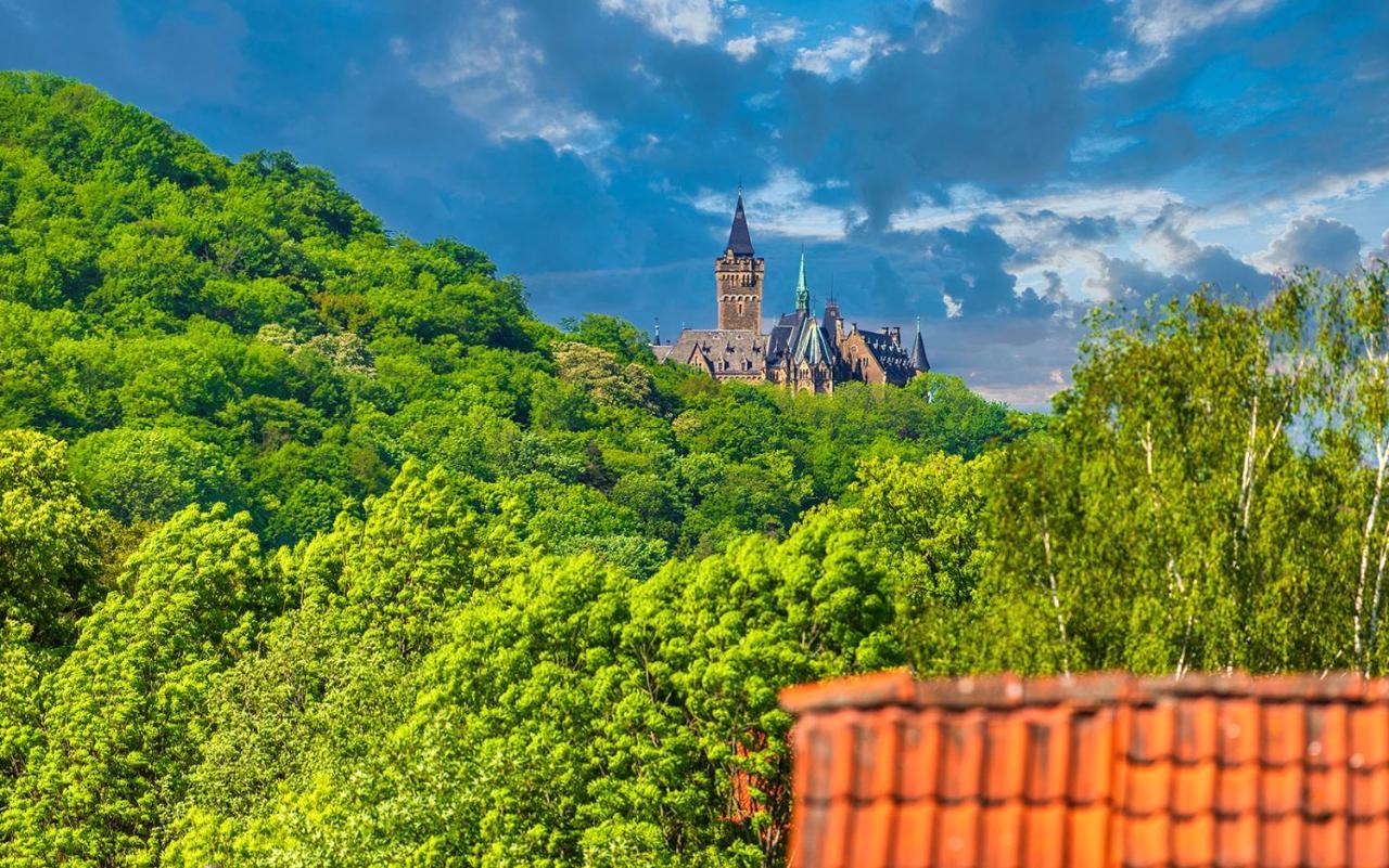 Ferienwohnung Ziegelbergsweg Wernigerode Εξωτερικό φωτογραφία
