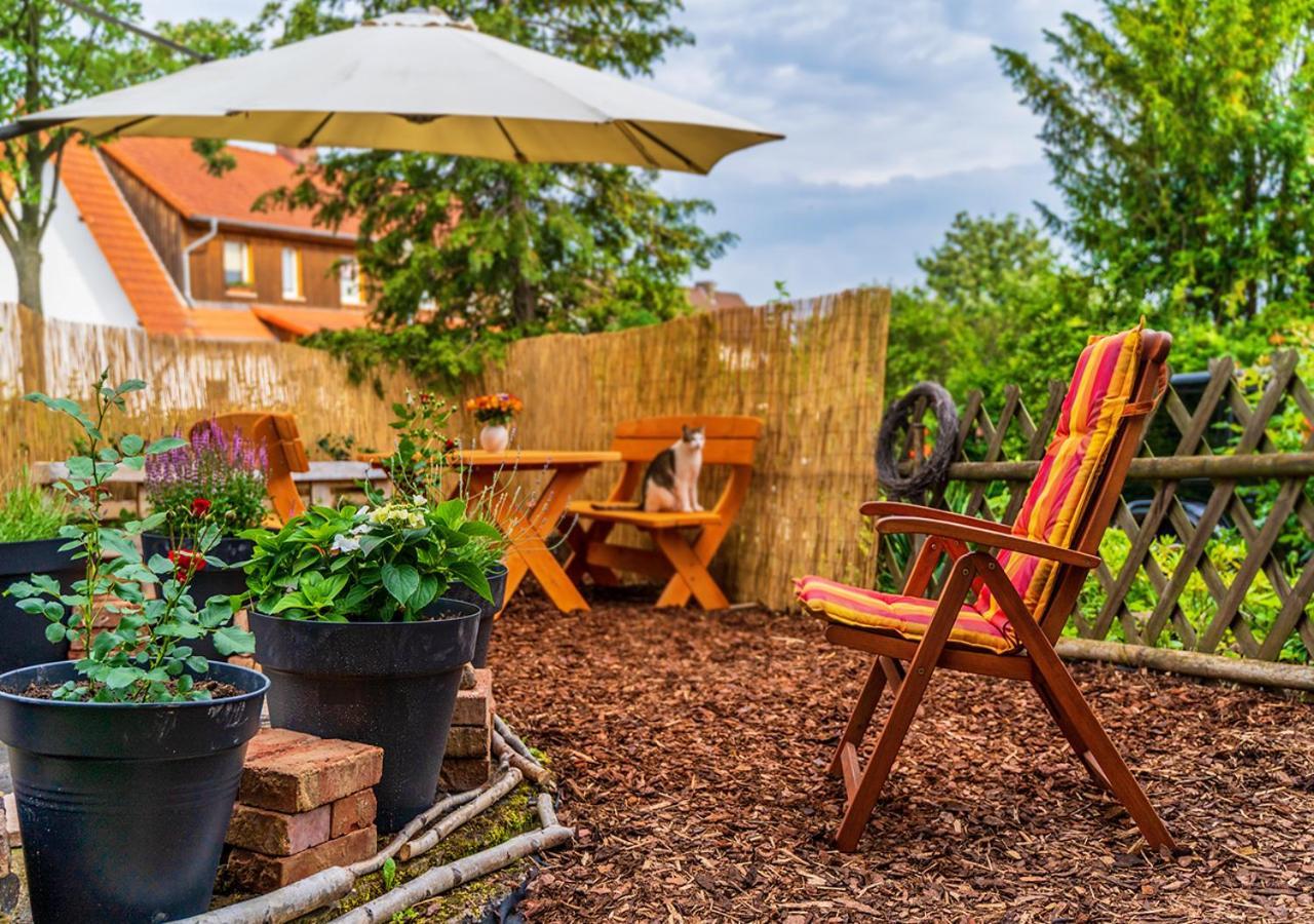 Ferienwohnung Ziegelbergsweg Wernigerode Εξωτερικό φωτογραφία